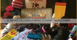 Read more about the article What To Bring To Disney World Parks | Ultimate Guide