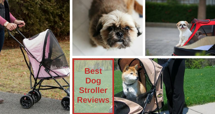 You are currently viewing Best Dog Strollers For Jogging And All Size Dogs