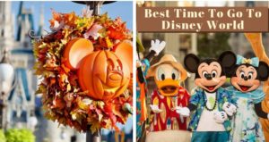 Read more about the article Best Time To Go To Disney World | Complete Guide