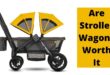 Are Stroller Wagons Worth It